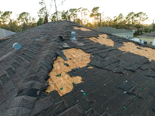 Fast & Reliable Emergency Roof Repairs in Vance, AL