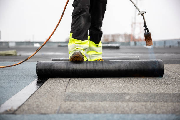 Best Roof Maintenance and Cleaning  in Vance, AL