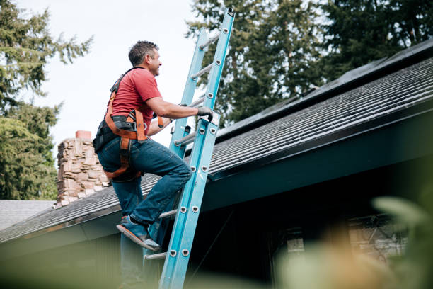 Best Gutter Installation and Repair  in Vance, AL