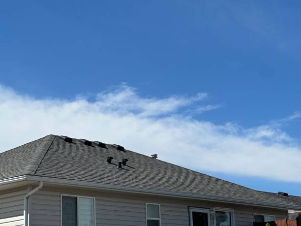 Best Emergency Roof Repair  in Vance, AL